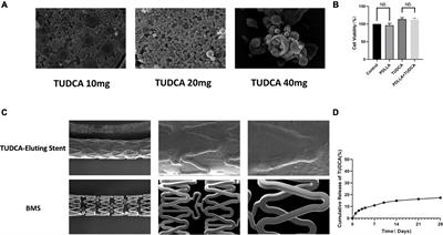 Repair effect of the poly (D,L-lactic acid) nanoparticle containing tauroursodeoxycholic acid-eluting stents on endothelial injury after stent implantation